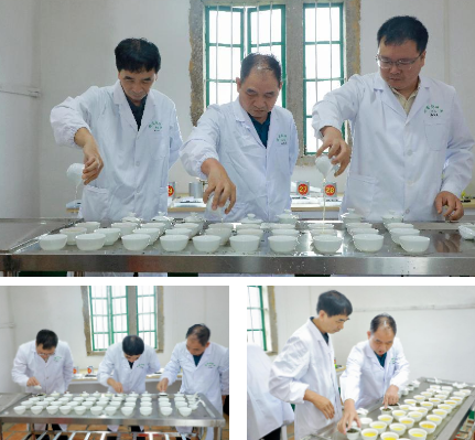 关于2024年春季梅占茶王赛圆满收官！的相关信息(2)