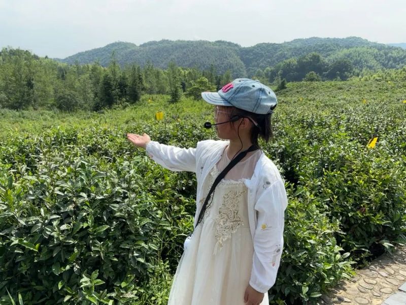 有关于祁门县青少年活动中心学员到祁门红茶集团实地训练的信息