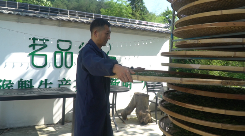 有关于太平魁红接力太平猴魁 闯入红茶市场的一匹黑马的相关信息(2)