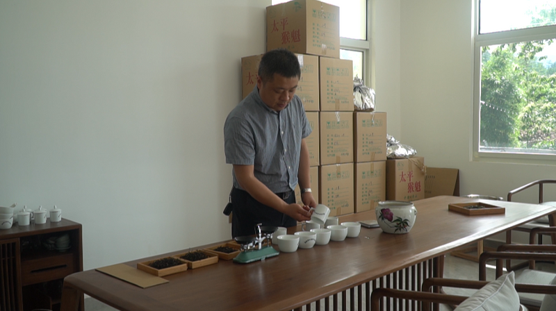 有关于太平魁红接力太平猴魁 闯入红茶市场的一匹黑马的相关信息(3)