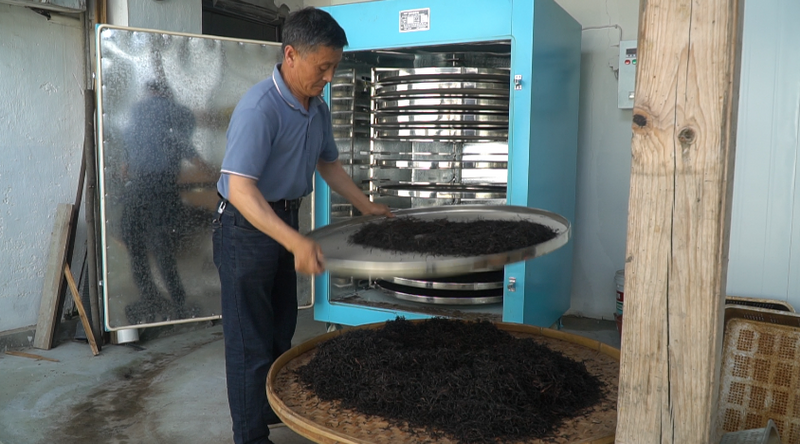 有关于太平魁红接力太平猴魁 闯入红茶市场的一匹黑马的相关信息(9)