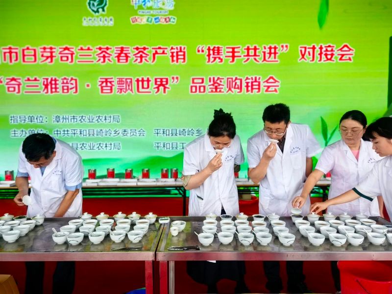 有关于这场品鉴购销会“奇”香 茶产业大展“兰”途的新闻(3)