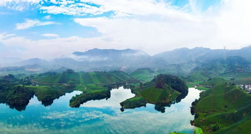 关于文化自信，价值视域中的茶与茶和天下的信息