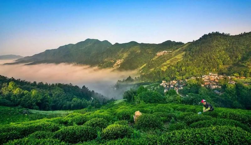 关于文化自信，价值视域中的茶与茶和天下的信息(2)