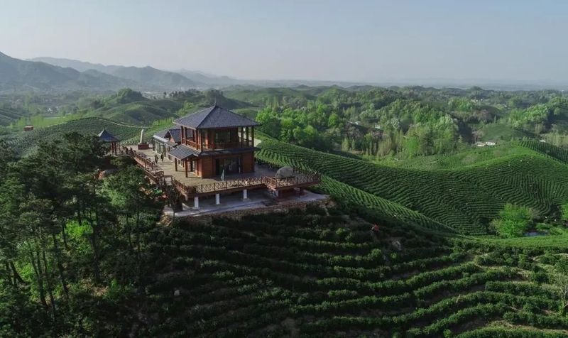 关于文化自信，价值视域中的茶与茶和天下的信息(7)