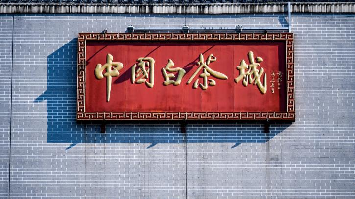 关于层林翠染山海地,缘来得赐政和名——2024政和白茶大会等一系列活动成功举行的内容(15)