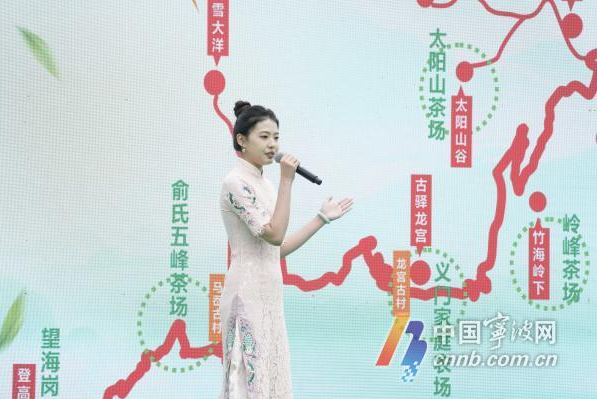 有关于“迈向共富路·今天我发布”宁海深甽望海茶专场发布会举行的内容(4)