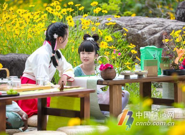 有关于“迈向共富路·今天我发布”宁海深甽望海茶专场发布会举行的内容(8)