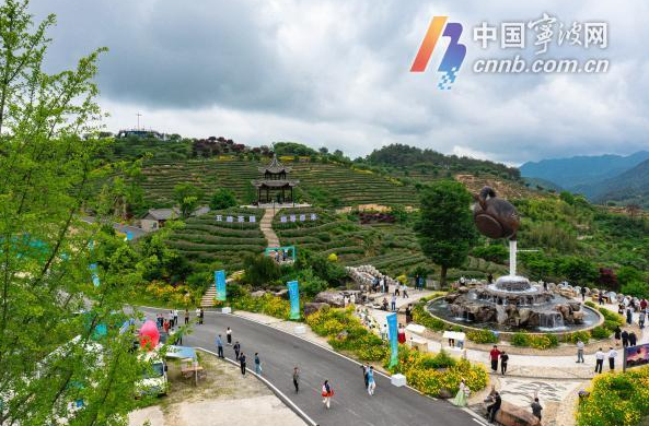 有关于“迈向共富路·今天我发布”宁海深甽望海茶专场发布会举行的内容(9)