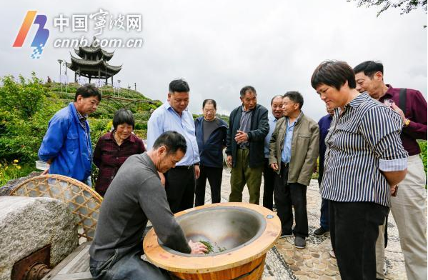 有关于“迈向共富路·今天我发布”宁海深甽望海茶专场发布会举行的内容(1)