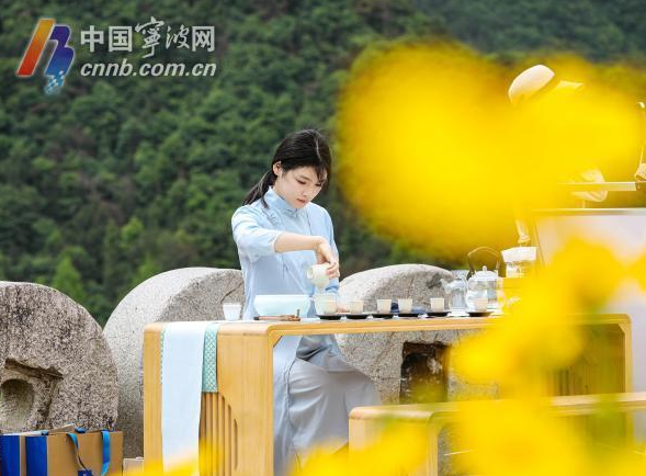 有关于“迈向共富路·今天我发布”宁海深甽望海茶专场发布会举行的内容(6)