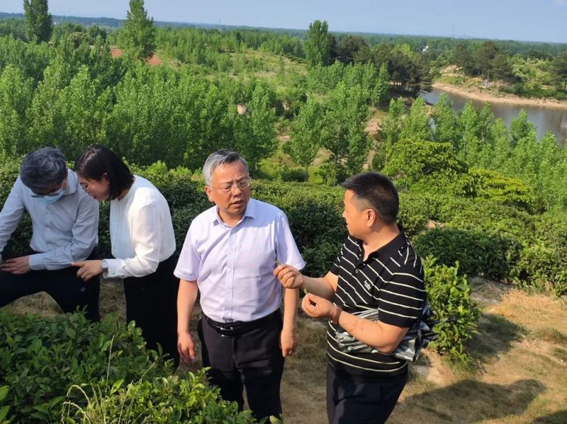 关于陕西省政协莅宛调研茶产业发展情况的最新消息(2)