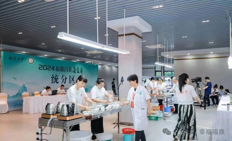 关于2024福鼎白茶茶王赛“茶王”出炉！的相关内容(1)