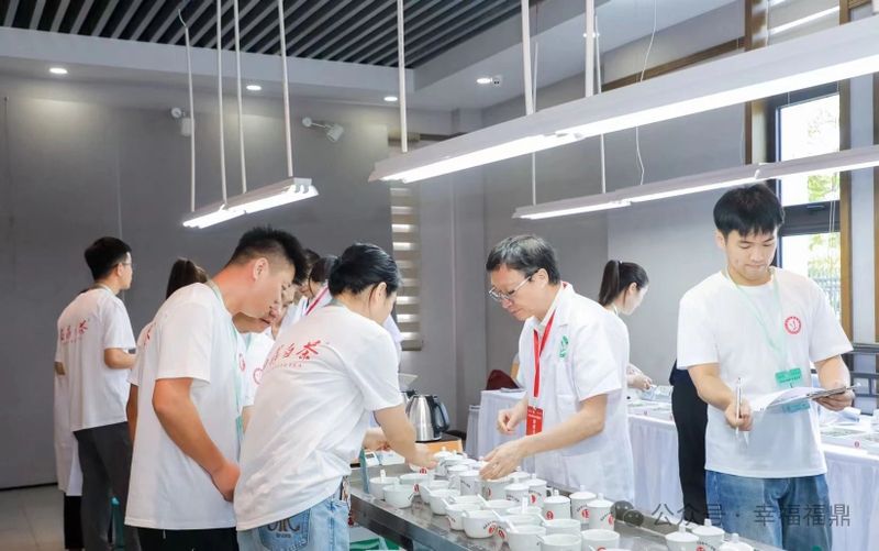 关于2024福鼎白茶茶王赛“茶王”出炉！的相关内容(4)