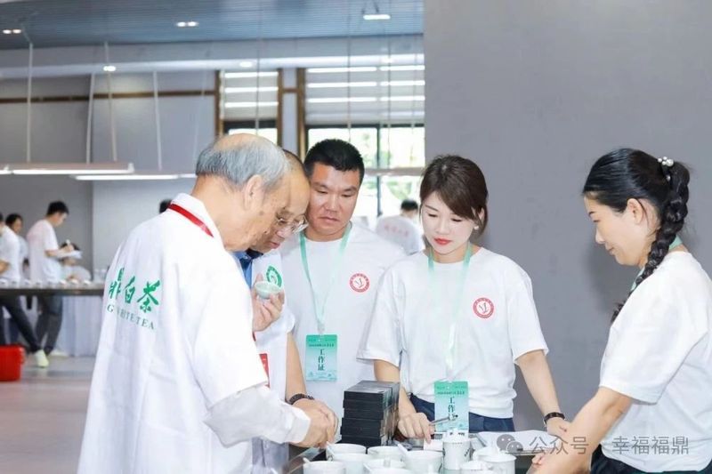 关于2024福鼎白茶茶王赛“茶王”出炉！的相关内容(6)