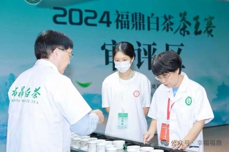 关于2024福鼎白茶茶王赛“茶王”出炉！的相关内容(5)