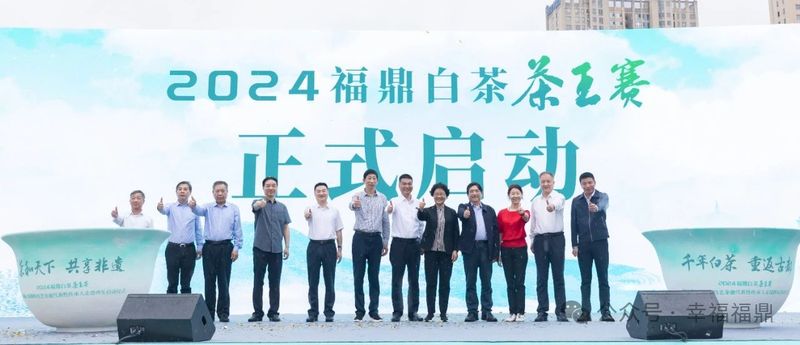 关于2024福鼎白茶茶王赛“茶王”出炉！的相关内容