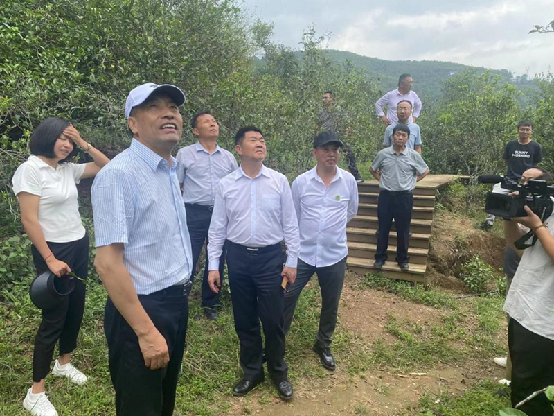 关于以科技助力人才培养 以人才推动科技突破——云南省普洱茶协会参与共建“茶文化科技产业学院”的信息(23)