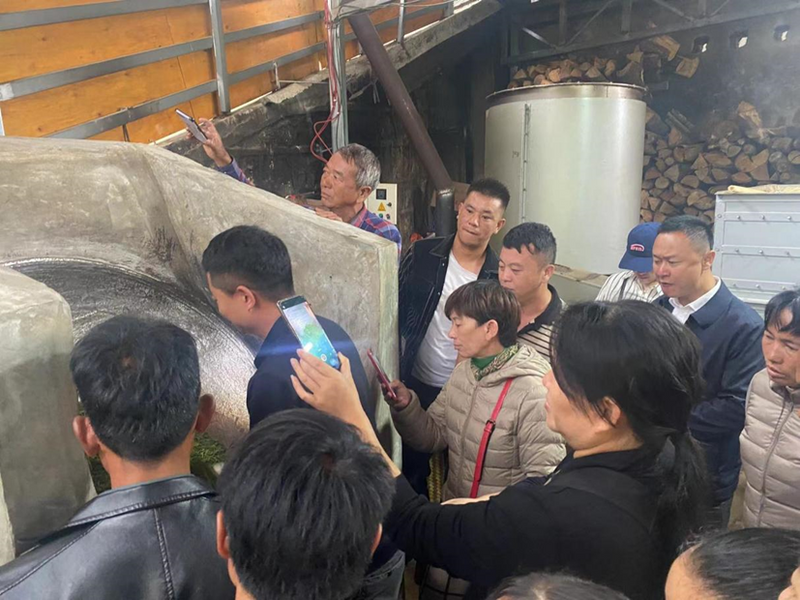 关于以科技助力人才培养 以人才推动科技突破——云南省普洱茶协会参与共建“茶文化科技产业学院”的信息(11)