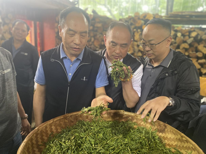 关于以科技助力人才培养 以人才推动科技突破——云南省普洱茶协会参与共建“茶文化科技产业学院”的信息(9)