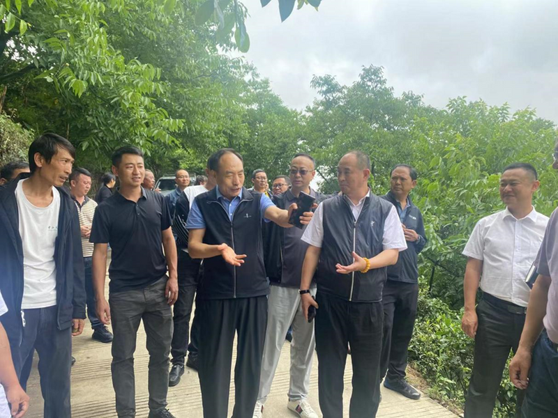 关于以科技助力人才培养 以人才推动科技突破——云南省普洱茶协会参与共建“茶文化科技产业学院”的信息(8)