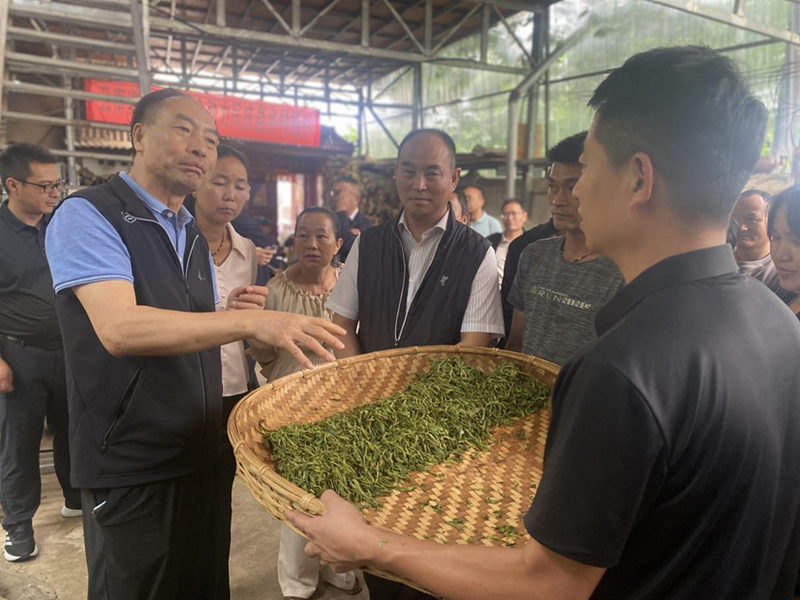 关于以科技助力人才培养 以人才推动科技突破——云南省普洱茶协会参与共建“茶文化科技产业学院”的信息(12)