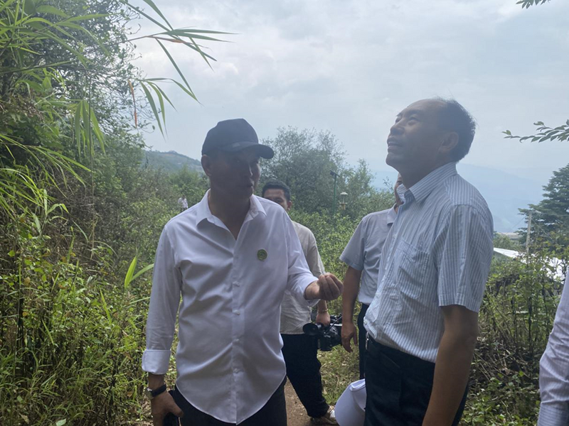 关于以科技助力人才培养 以人才推动科技突破——云南省普洱茶协会参与共建“茶文化科技产业学院”的信息(22)