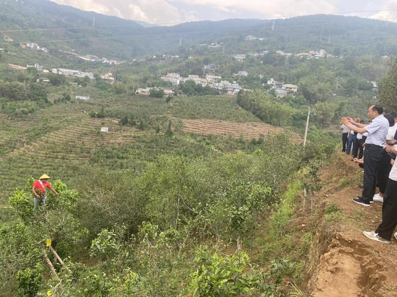 关于以科技助力人才培养 以人才推动科技突破——云南省普洱茶协会参与共建“茶文化科技产业学院”的信息(21)