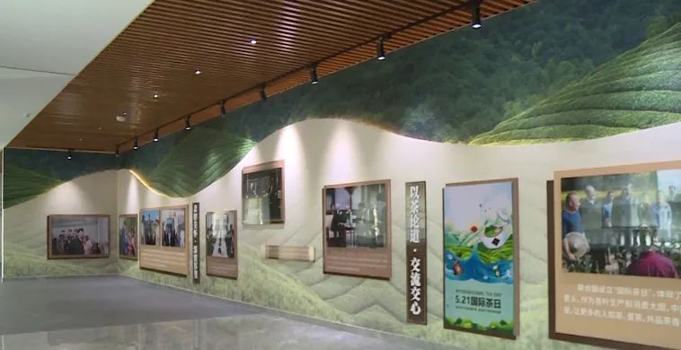 有关于茶王节精彩回顾  第十三届勐海茶王节圆满落幕！的内容(11)