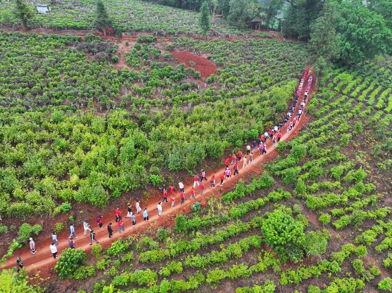 有关于茶王节精彩回顾  第十三届勐海茶王节圆满落幕！的内容(19)