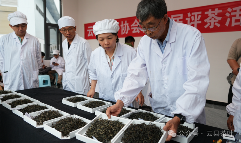 有关于2024年云县茶叶促进协会第三届“5·20 茶叶评比”活动圆满结束的最新消息(11)