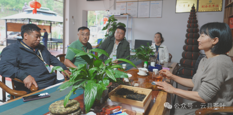 有关于2024年云县茶叶促进协会第三届“5·20 茶叶评比”活动圆满结束的最新消息(16)