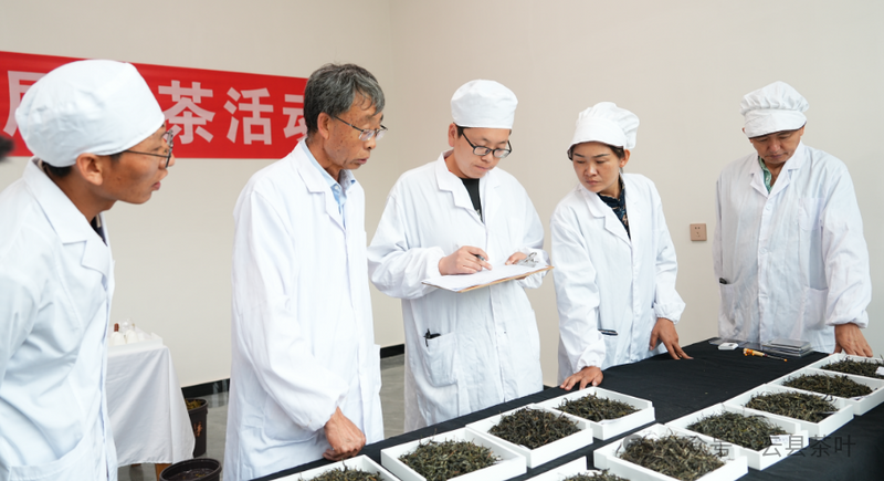 有关于2024年云县茶叶促进协会第三届“5·20 茶叶评比”活动圆满结束的最新消息(13)