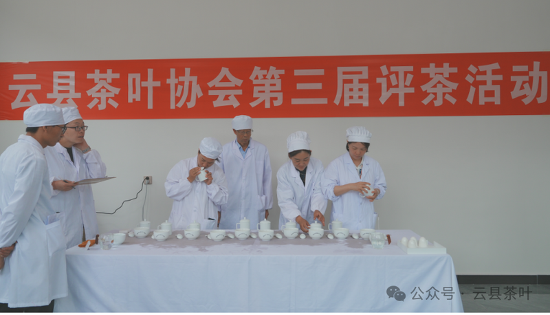 有关于2024年云县茶叶促进协会第三届“5·20 茶叶评比”活动圆满结束的最新消息(12)