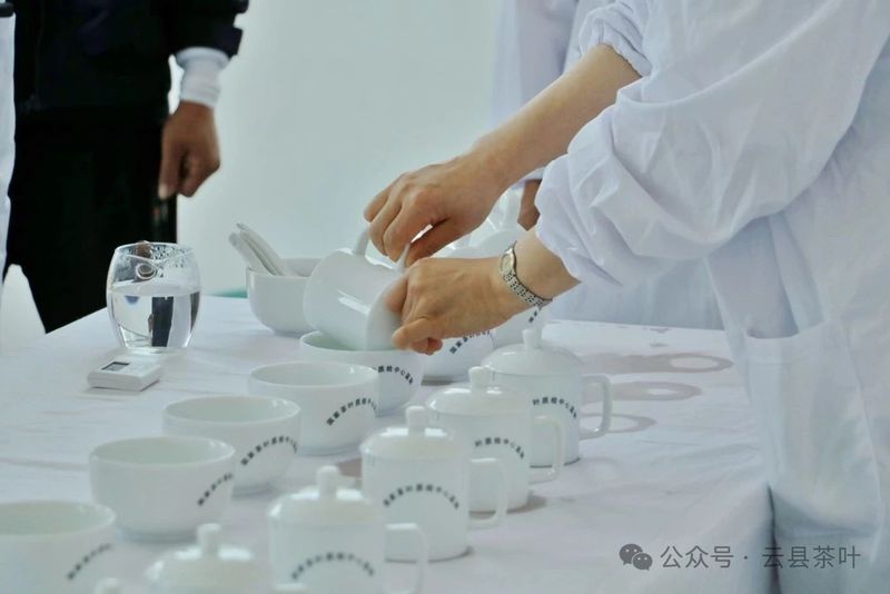 有关于2024年云县茶叶促进协会第三届“5·20 茶叶评比”活动圆满结束的最新消息(10)