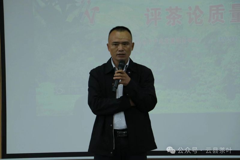 有关于2024年云县茶叶促进协会第三届“5·20 茶叶评比”活动圆满结束的最新消息(2)