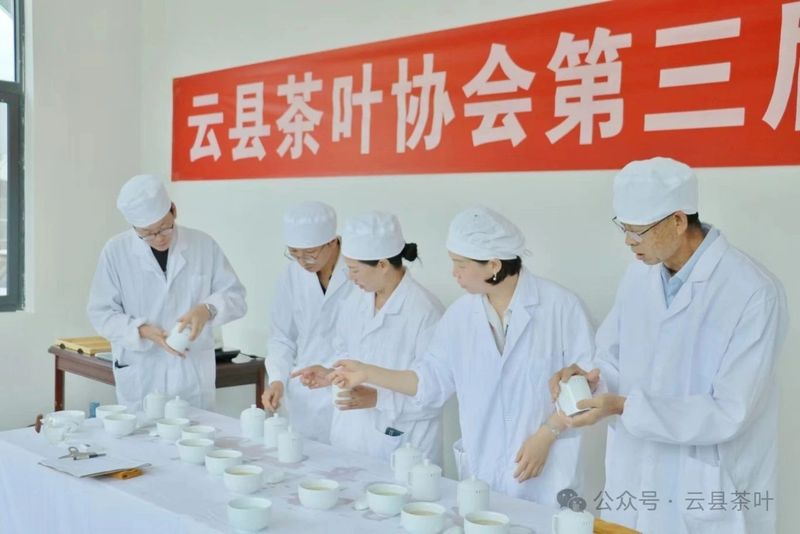 有关于2024年云县茶叶促进协会第三届“5·20 茶叶评比”活动圆满结束的最新消息(9)