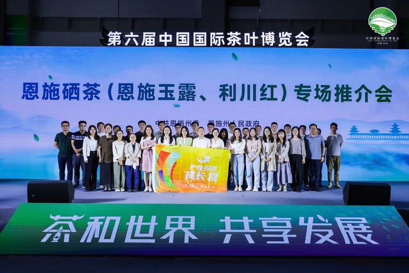 关于探访茶博会 探索茶产业发展之路的相关内容