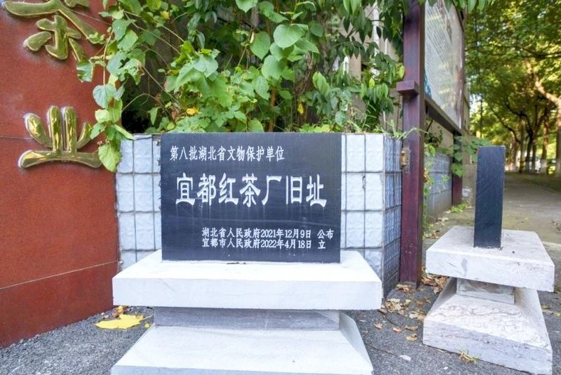 关于传承200年的宜红工夫茶强势归来，5人受聘为“宜茶推广大使”的相关内容(9)