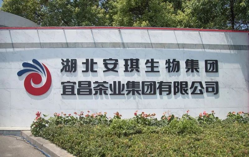 关于传承200年的宜红工夫茶强势归来，5人受聘为“宜茶推广大使”的相关内容(11)