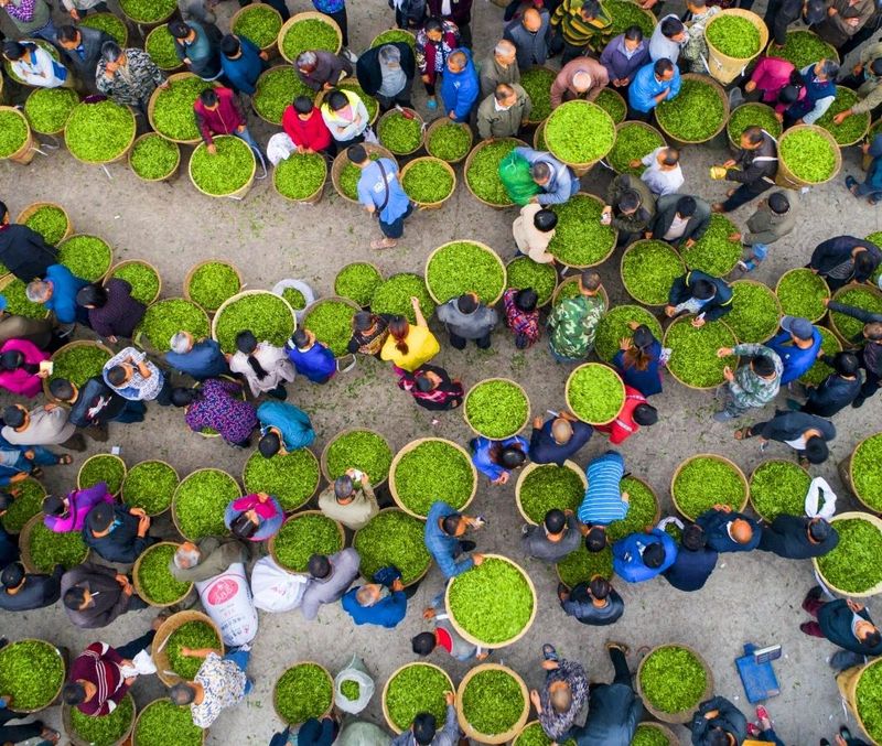 关于2024中国茶区域公用品牌价值TOP20建设案例：蒙顶山茶 卓著品牌 引领产业的相关信息(2)