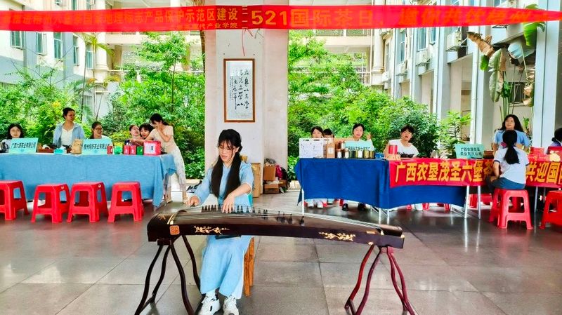 有关于“同庆国际茶日，共品梧州六堡”系列活动掀起全民饮茶热浪的相关信息(13)