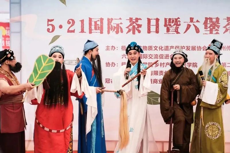 有关于“同庆国际茶日，共品梧州六堡”系列活动掀起全民饮茶热浪的相关信息(10)