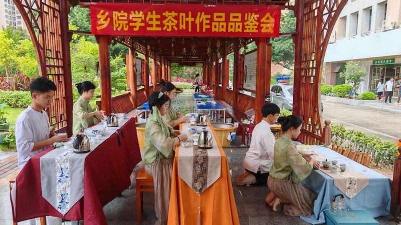 有关于“同庆国际茶日，共品梧州六堡”系列活动掀起全民饮茶热浪的相关信息(17)