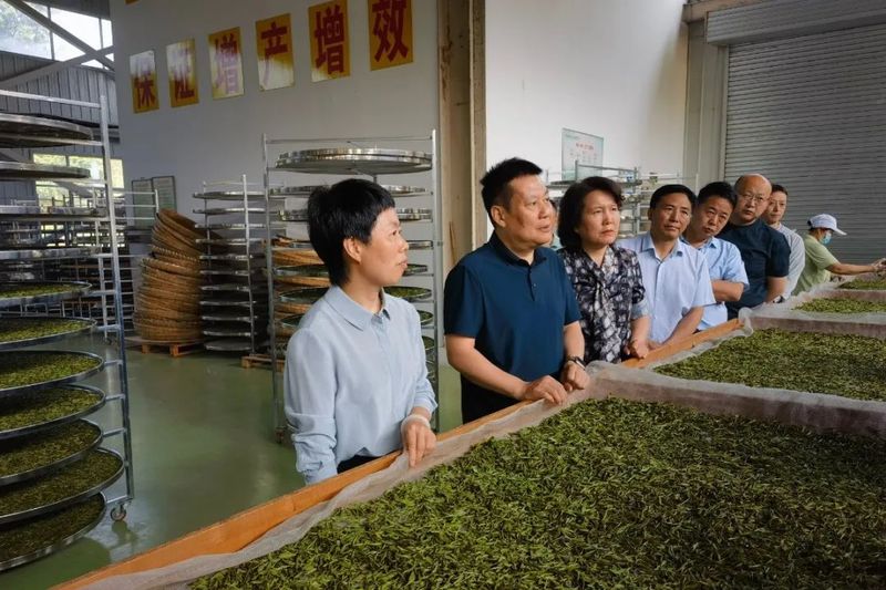 关于省人大常委会调研组来汉开展陕西省茶产业发展条例立法论证调研的资讯(1)