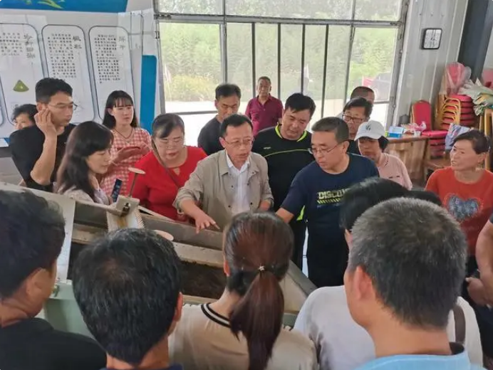 有关于青岛职业技术学院：“茶山科技小院”助力乡村振兴，带动茶农增收近10亿元的新闻(3)