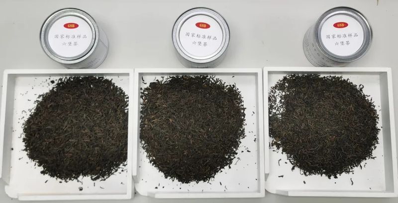 有关于2024年5月茶行业资讯汇总的相关信息(1)