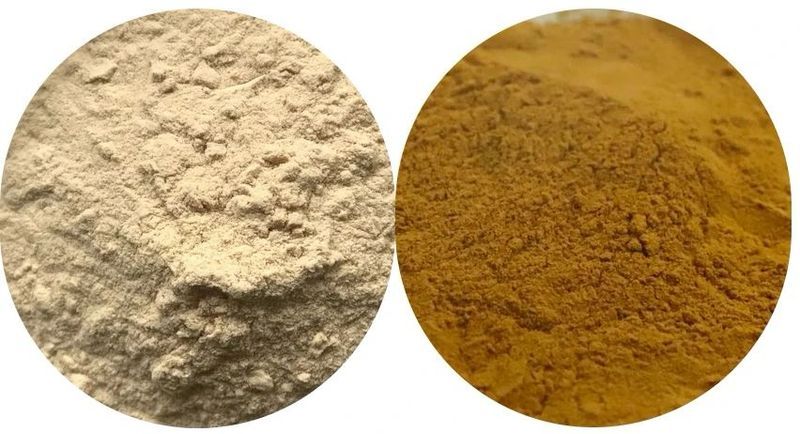 有关于2024年5月茶行业资讯汇总的相关信息(4)