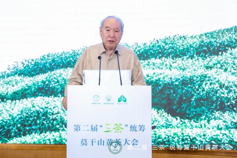 有关于第二届“三茶”统筹莫干山黄茶大会成功举办的资讯(6)