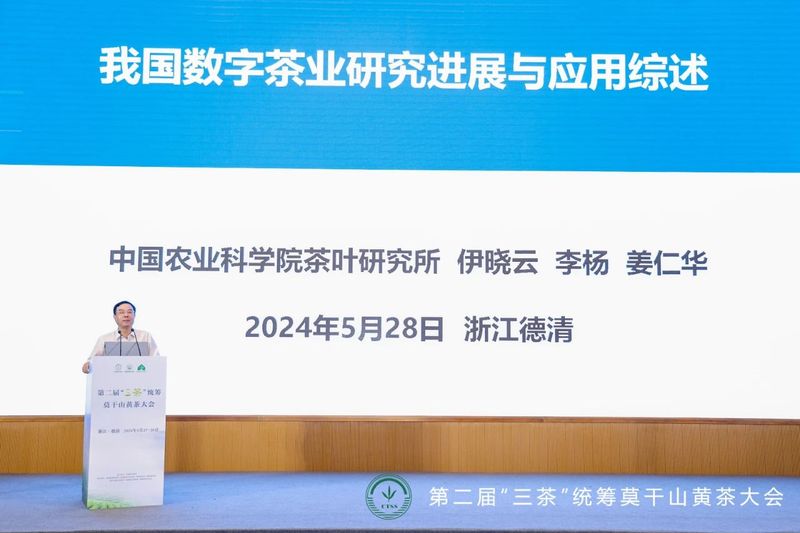 有关于第二届“三茶”统筹莫干山黄茶大会成功举办的资讯(7)